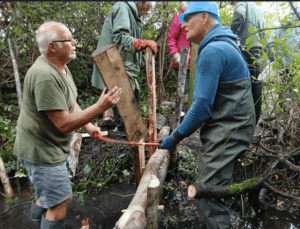 Volunteers putting small woody dams together