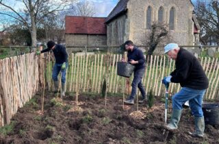 volunteers planting trees