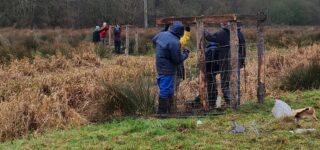 volunteers tree planting