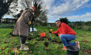 Volunteers tree planting