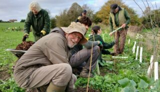 volunteers tree planting