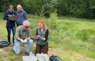 Pond dipping