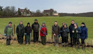 volunteers with hedge planted