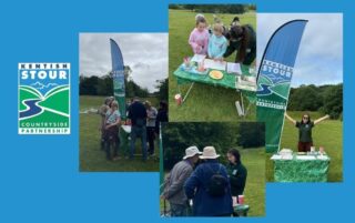 bioblitz poster
