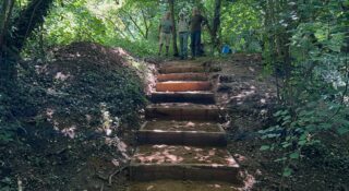 new woodland steps