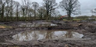 new ponds in winter
